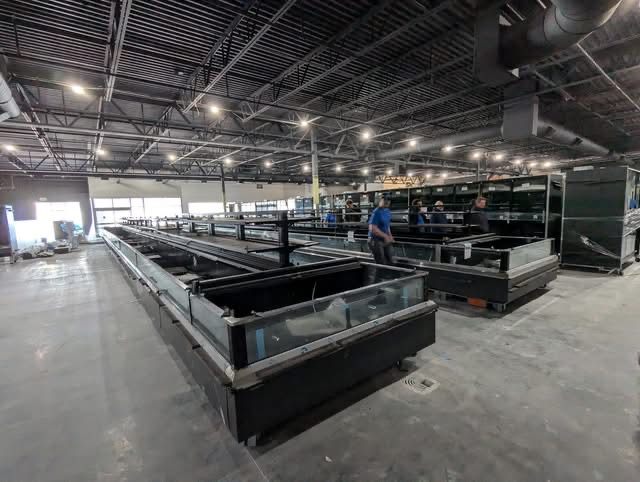Grocery store refrigerated cases during installation